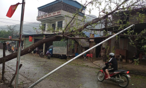 Northern region may experience thunderstorms, hail from this afternoon