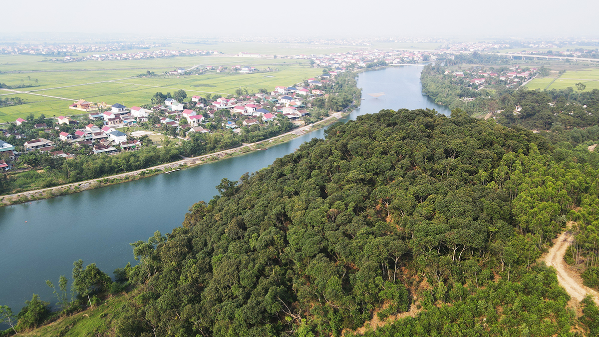 A precious wood forest preserved for 6 centuries