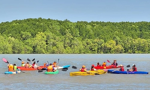 5 reasons to choose VM Green Paradise Can Gio for a running getaway