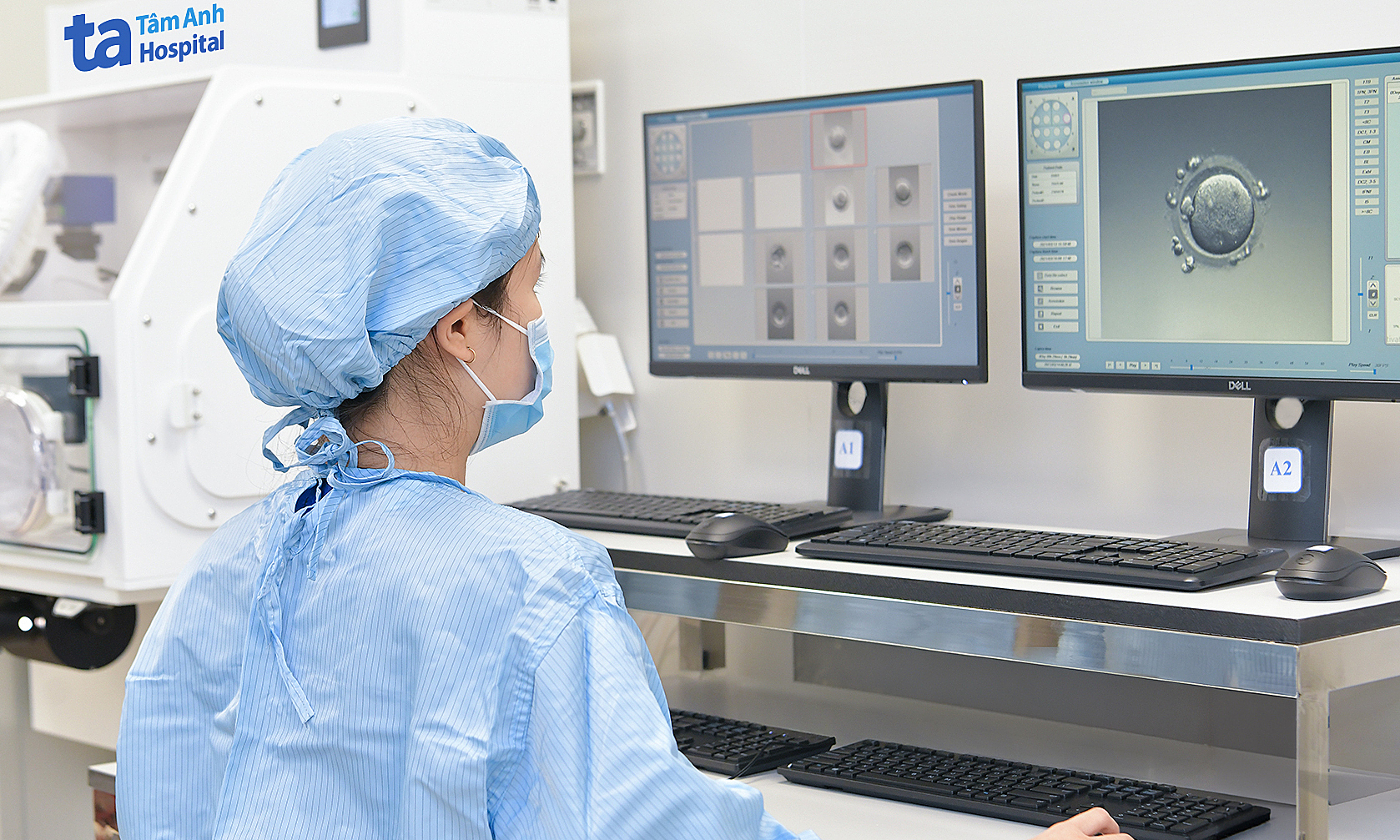 Should mosaic and chromosomally abnormal embryos be transferred for pregnancy?