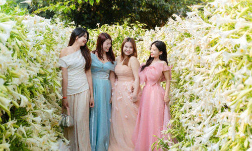 'Muses' flock to blooming lily road for photos