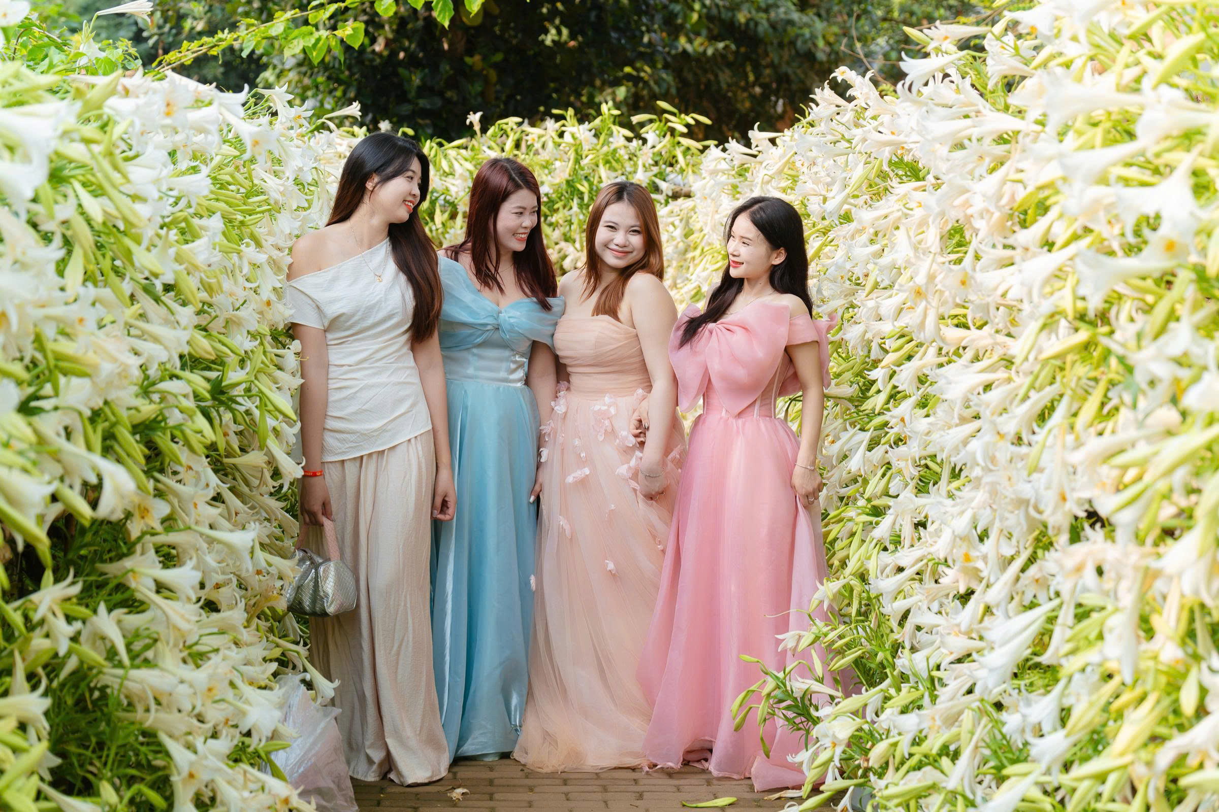 'Muses' flock to blooming lily road for photos