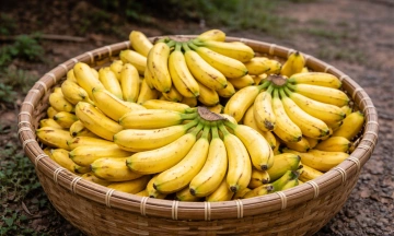 Reasons why people with high blood pressure should eat a banana daily