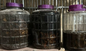Doctor warns of deadly risks from self-made medicinal wines