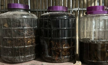 Doctor warns of deadly risks from self-made medicinal wines
