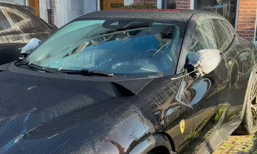 Wealthy drivers install anti-theft locks for side mirrors