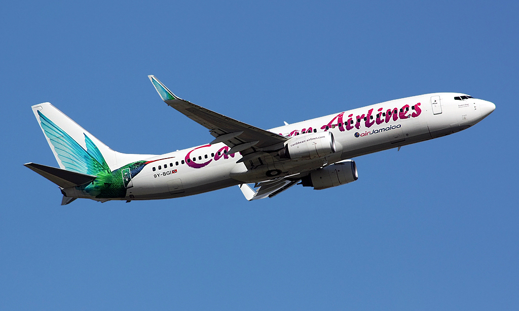 Passenger gives birth on plane