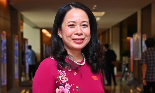 Vo Thi Anh Xuan re-elected vice president