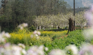 4 travel destinations near Hanoi to avoid high airfare during Hung Kings' Commemoration Day and April 30th holidays