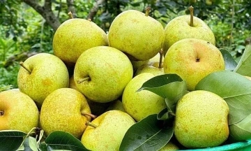 6 insoluble fiber-rich foods that help reduce constipation