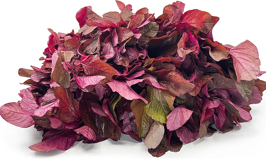 Chinese doctor warns 5 vegetables can harm kidneys if overused