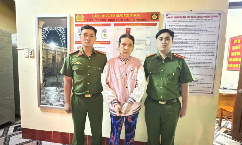 Domestic helper steals nearly 300 million dong from employer