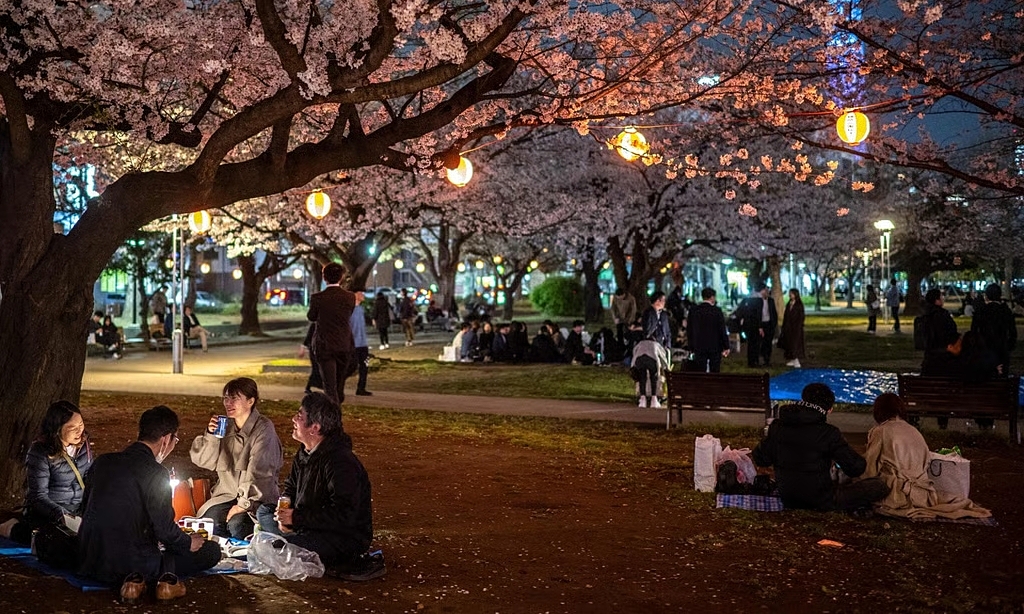 Controversy over tourists dancing at Japan's cherry blossom viewing spots