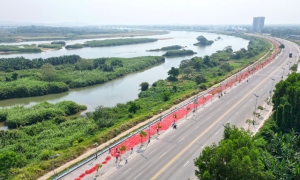 Chili prices plummet more than tenfold