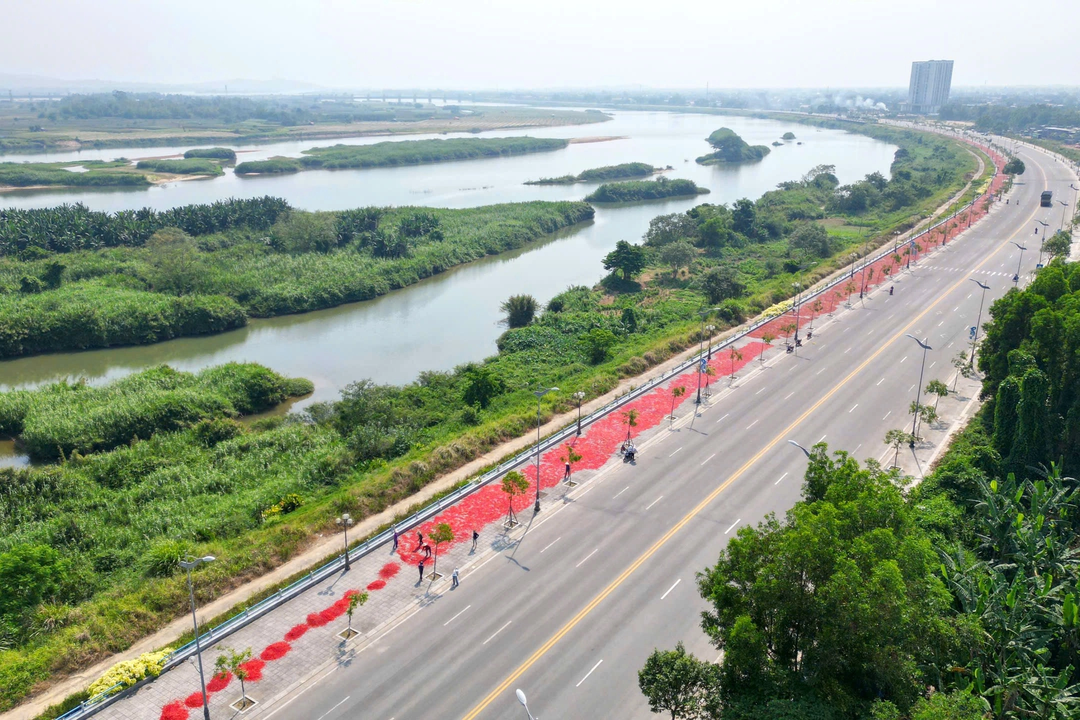 Chili prices plummet more than tenfold