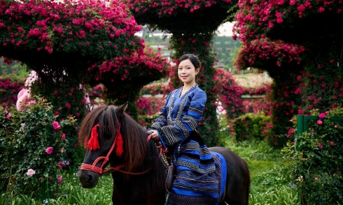 Seven exciting destinations for the Hung Kings Commemoration Day and April 30th holidays