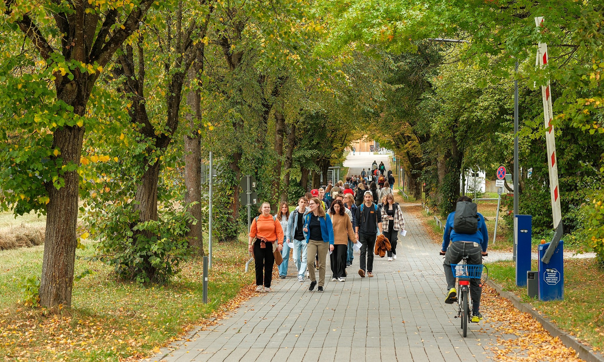 five German government scholarships for Vietnamese master's and doctoral students
