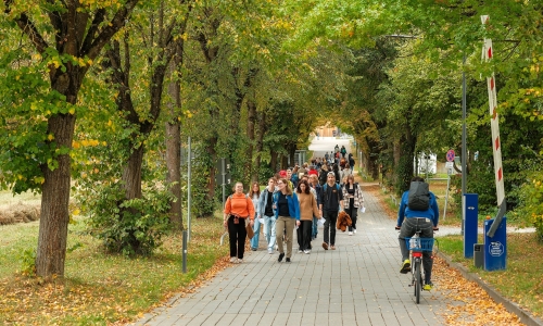 five German government scholarships for Vietnamese master's and doctoral students