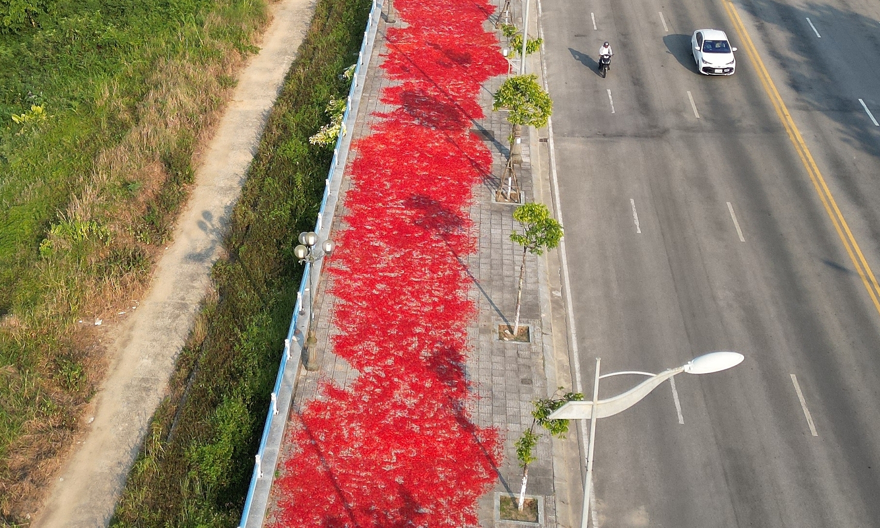 The 9 km road bright red with chili in Quang Ngai