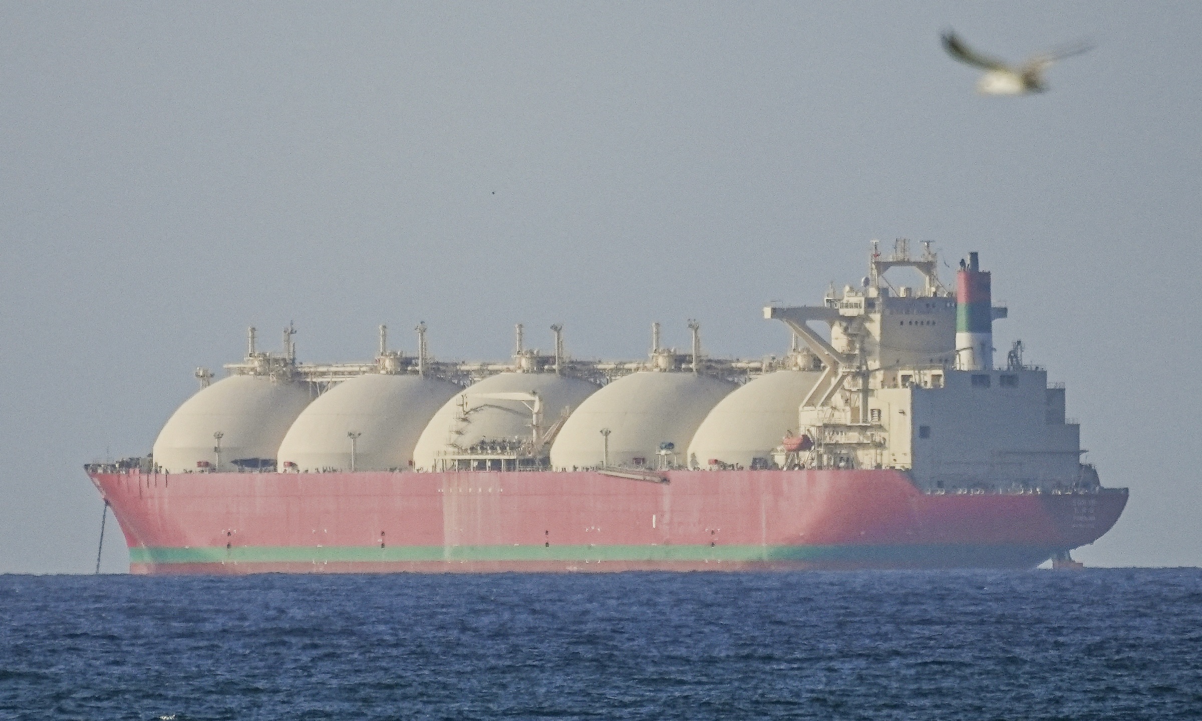 Traffic through the Strait of Hormuz 'stalled' after US blockade order