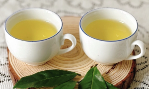 6 foods to support memory enhancement for older adults