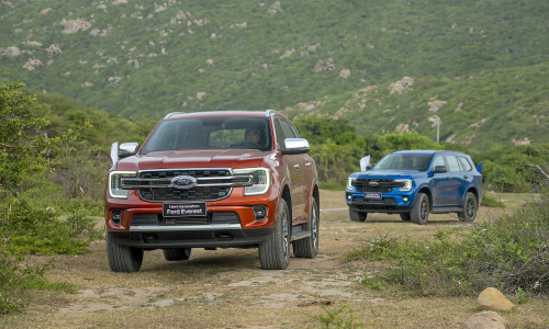 D-segment suv market share in Q1: Ford Everest dominates sales