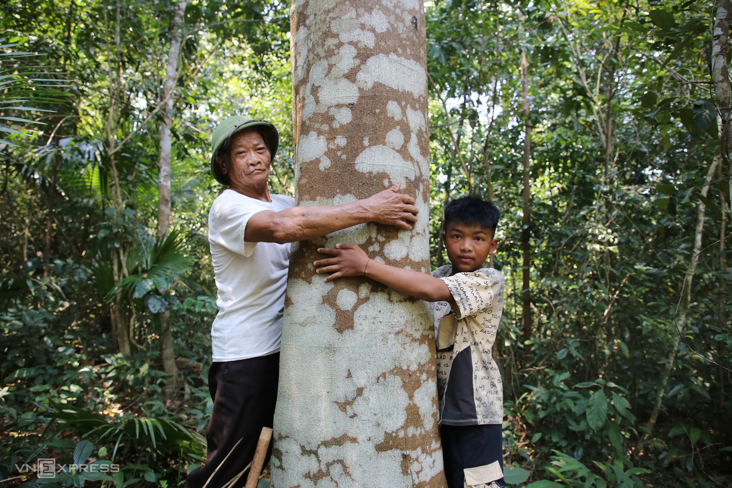 Elderly farmer protects valuable ironwood forest for over 30 years