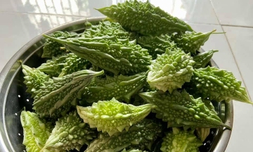 Does eating bitter melon daily help cool the liver?