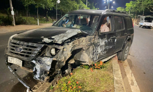 Car thieves crash stolen vehicle due to lack of driving skills