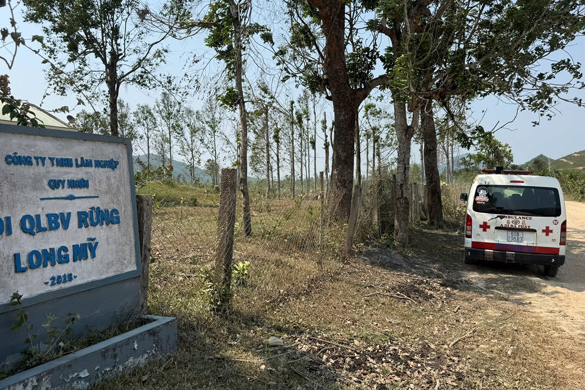 One dead, four hospitalized after insect attack