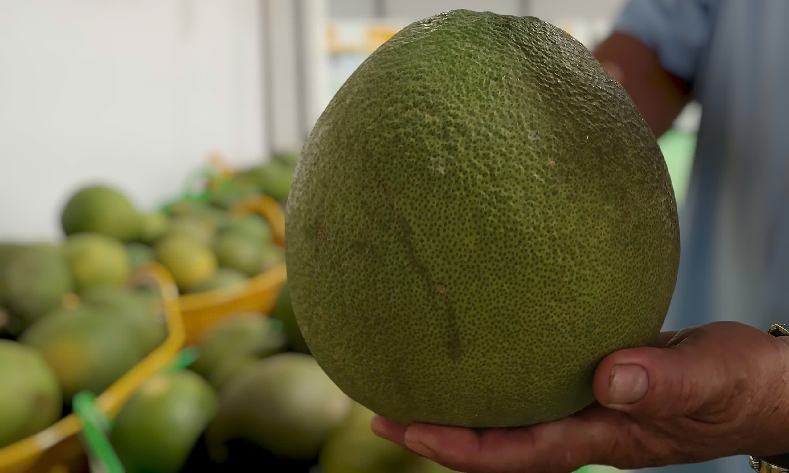 China opens market for Vietnamese lemons and pomelos