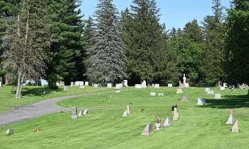 Bee colony of over 5.6 million found beneath New York cemetery