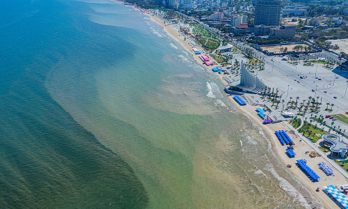 Algae bloom causes Vung Tau seawater to become scummy and smelly
