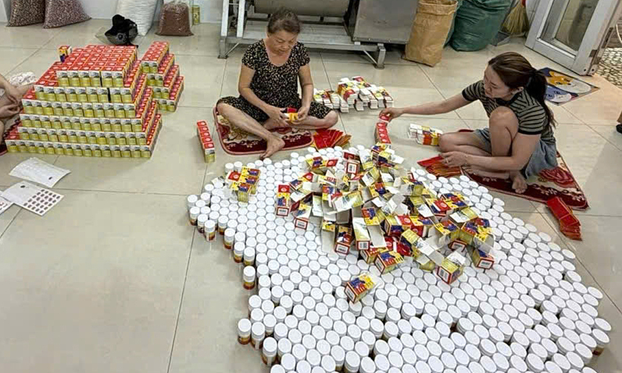 Tens of thousands of fake traditional medicine boxes seized in Ho Chi Minh City