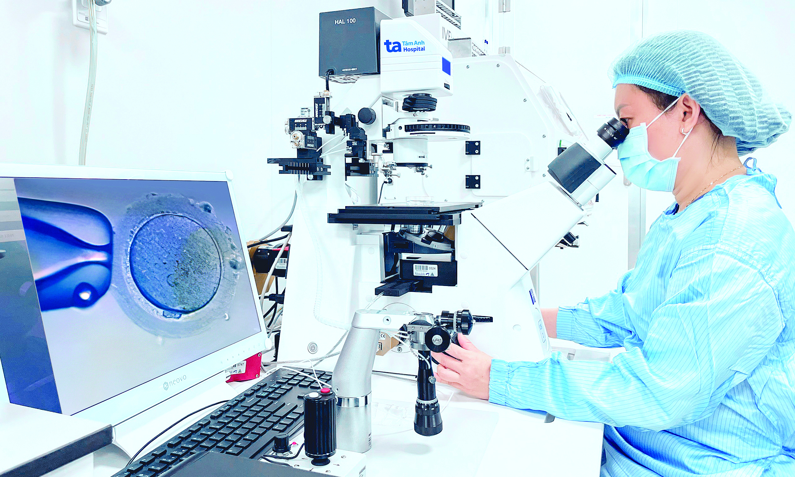 A sweet reward after 12 years of infertility and three miscarriages