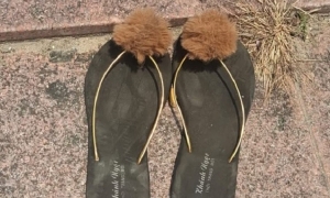 Teenagers stage 'sandals on bridge' suicide hoax to evade theft charges