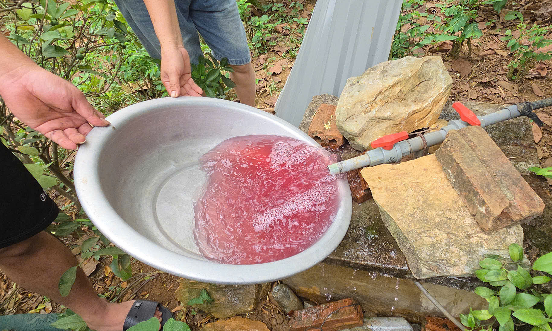 Well water turns unusual purple color