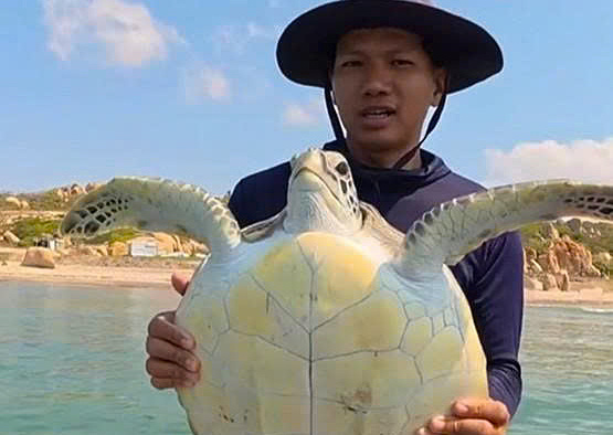 Rare sea turtle caught in net, fishermen release it to sea