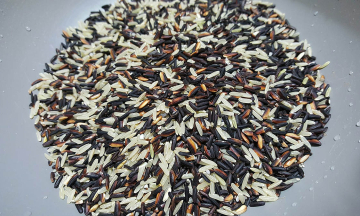 4 misconceptions that weaken kidney patients who practice 'holistic health'