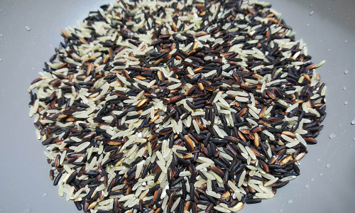 4 misconceptions that weaken kidney patients who practice 'holistic health'