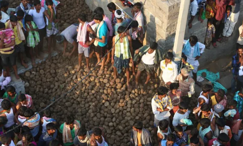 Throwing cow dung at each other for good luck in India