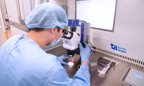 Should fresh or frozen sperm be used for IVF?