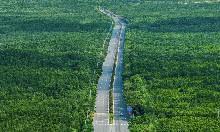 Camping accommodation for runners at VM Green Paradise Can Gio