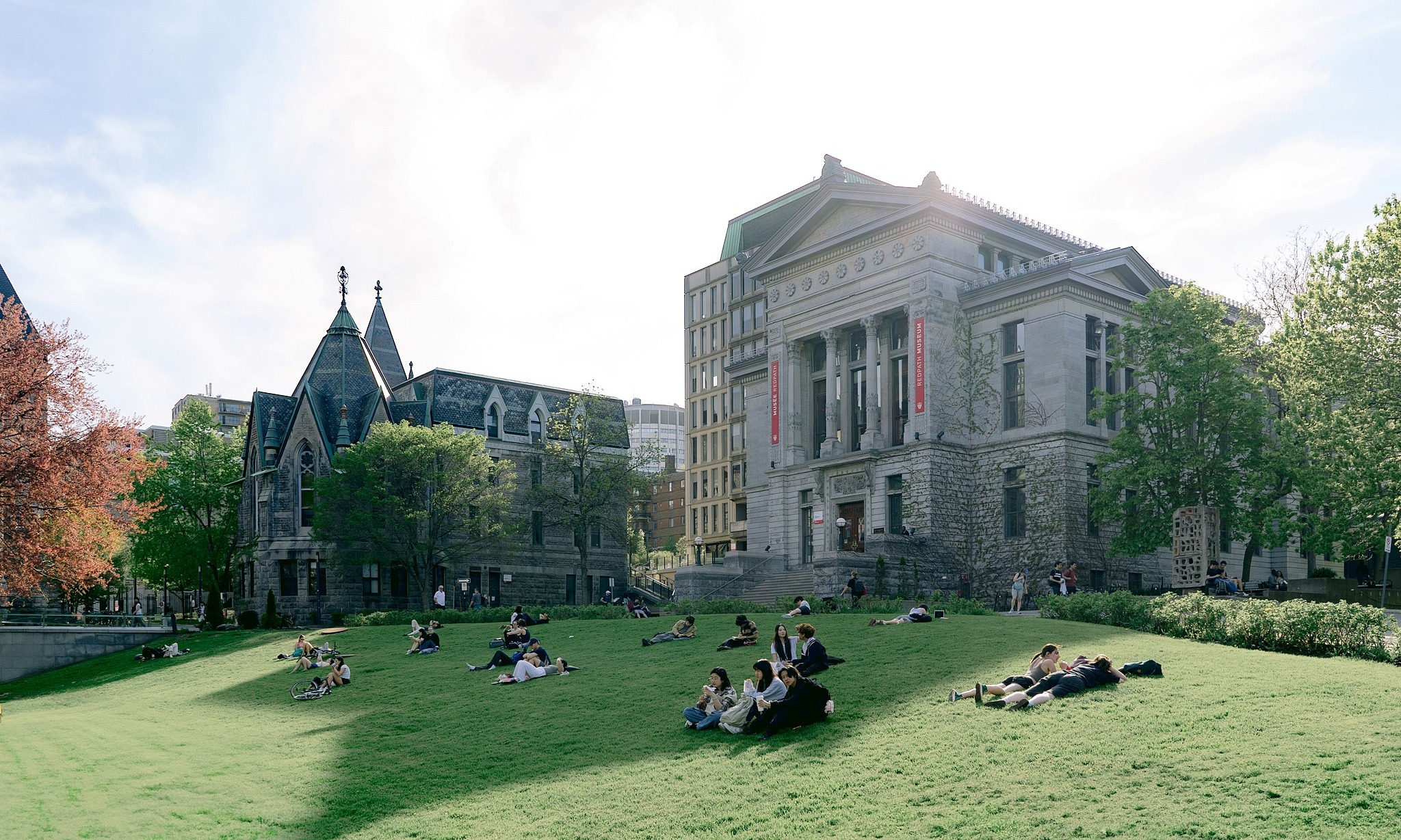 New international student arrivals in Canada fall below Covid-19 levels