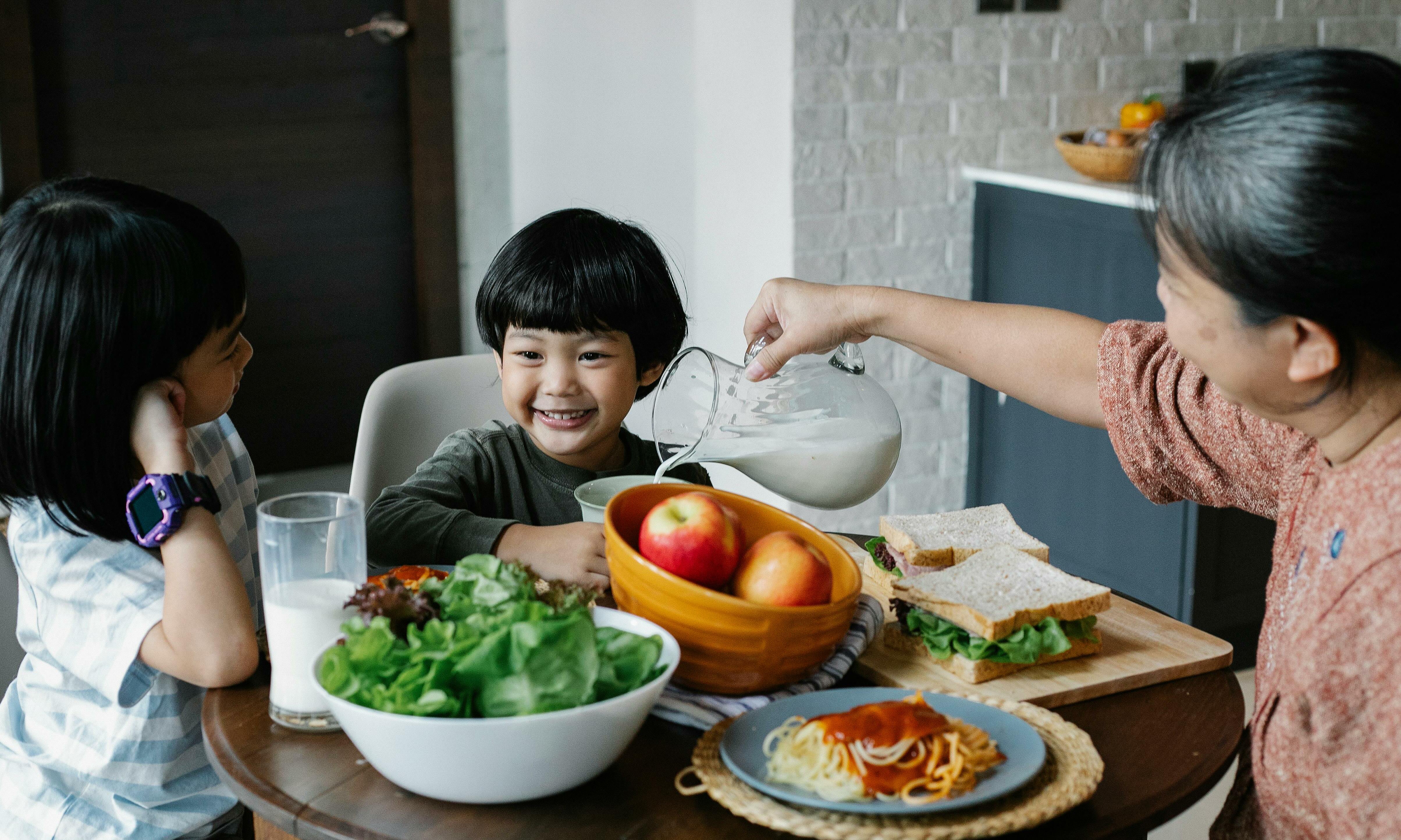 The role of lactoferrin in child nutrition