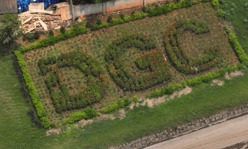 Duc Giang Chemical seeks to dismiss Dao Huu Huyen and son from positions