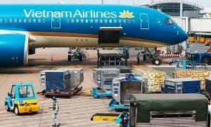 Multi-stakeholder alliances drive sustainable development in the aviation industry