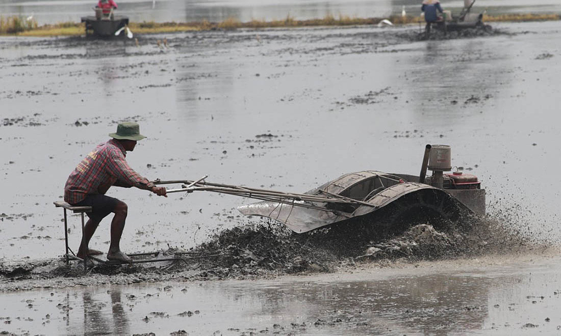 Thailand issues urgent warning over 'soil fever' epidemic, 23 dead