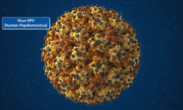 Does HPV infection always lead to cancer?