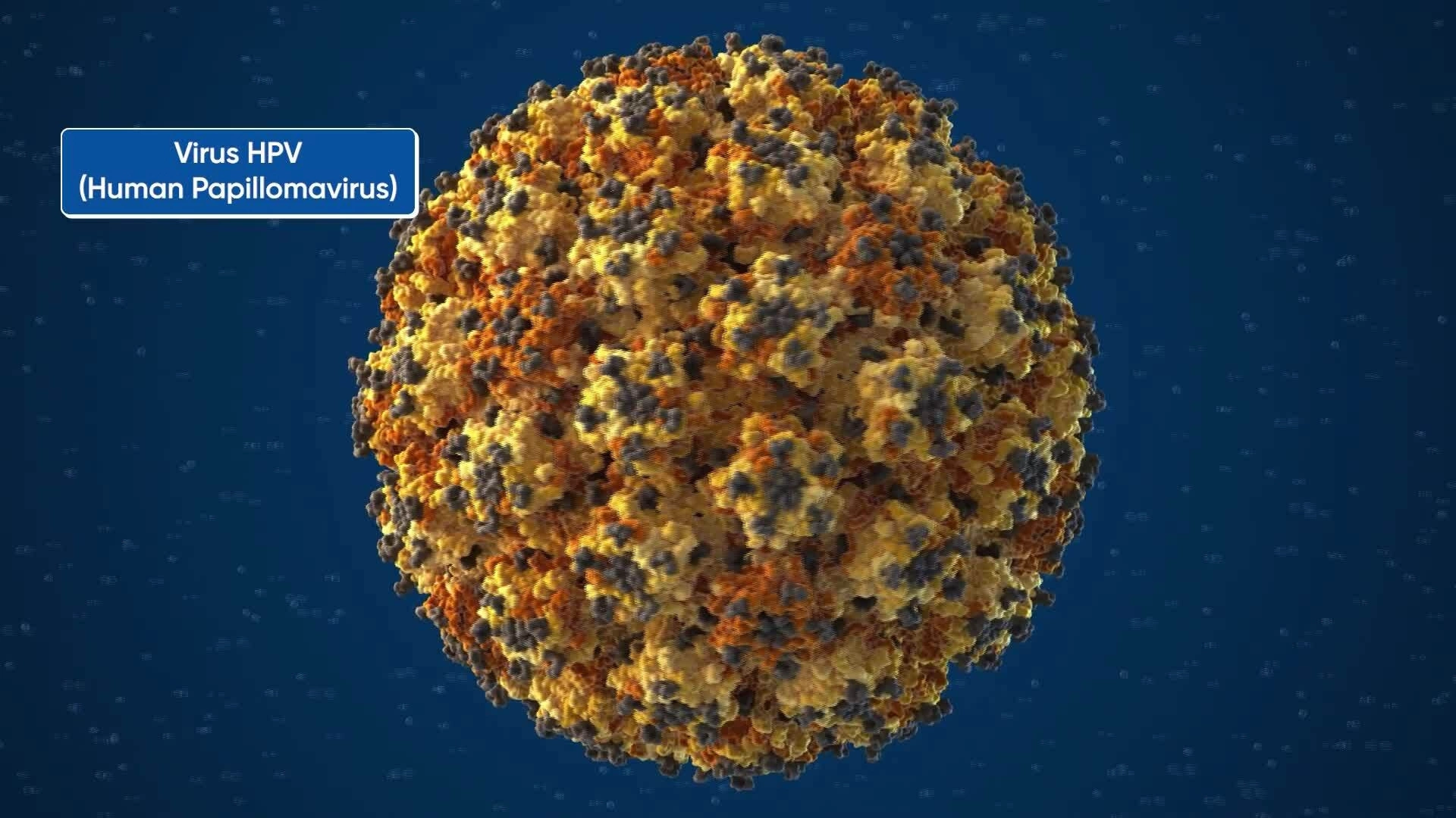 Does HPV infection always lead to cancer?